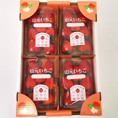 山元いちご農園 4品種食べ比べセット 4パック【配送不可地域：離島・北海道・沖縄県・信越、北陸・近畿・中国・四国・九州】