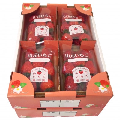 山元いちご農園 4品種食べ比べセット 8パック【配送不可地域：離島・北海道・沖縄県・信越、北陸・近畿・中国・四国・九州】