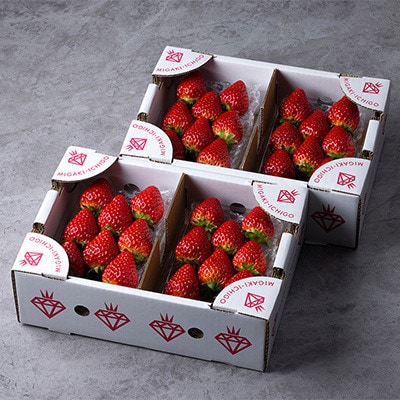 【毎月定期便】ミガキイチゴ・レギュラー(250g×4P)全3回【配送不可地域：離島】