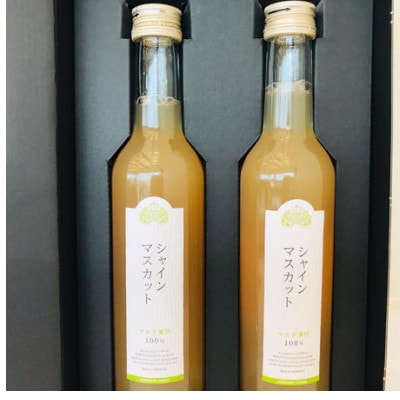 シャインマスカットジュース300ml×2本詰【配送不可地域：離島】