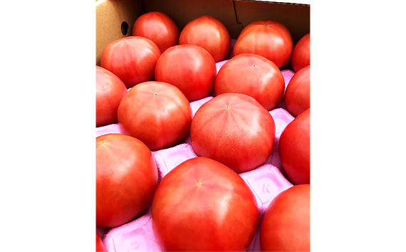 No.003 松島とまと