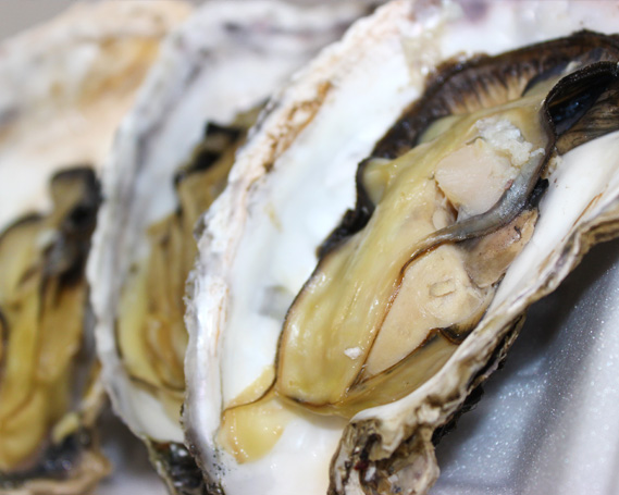 No.044 松島観光贅沢プラン