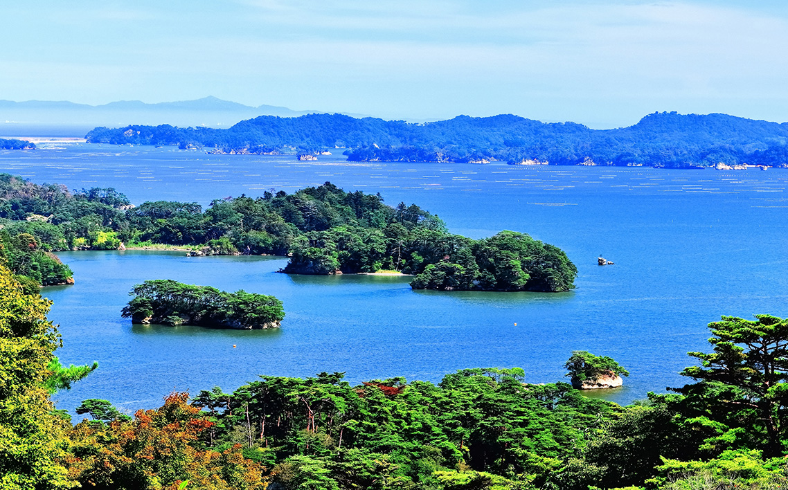 No.086 【令和7年度産】松島産ひとめぼれ5kg×6袋