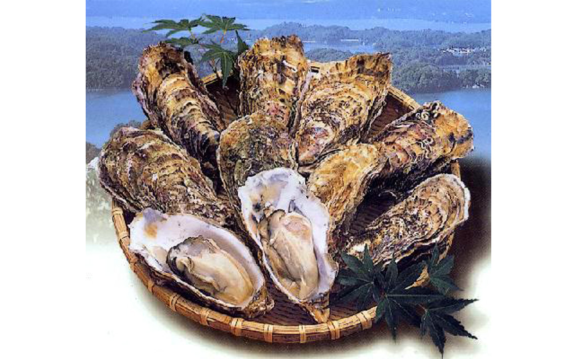 殻付き牡蠣10個＋オイスターナイフ