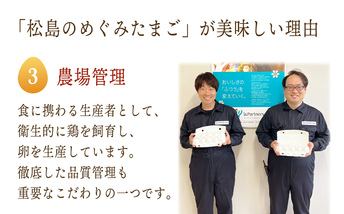 松島のめぐみたまご　40個入り　12ヵ月定期便