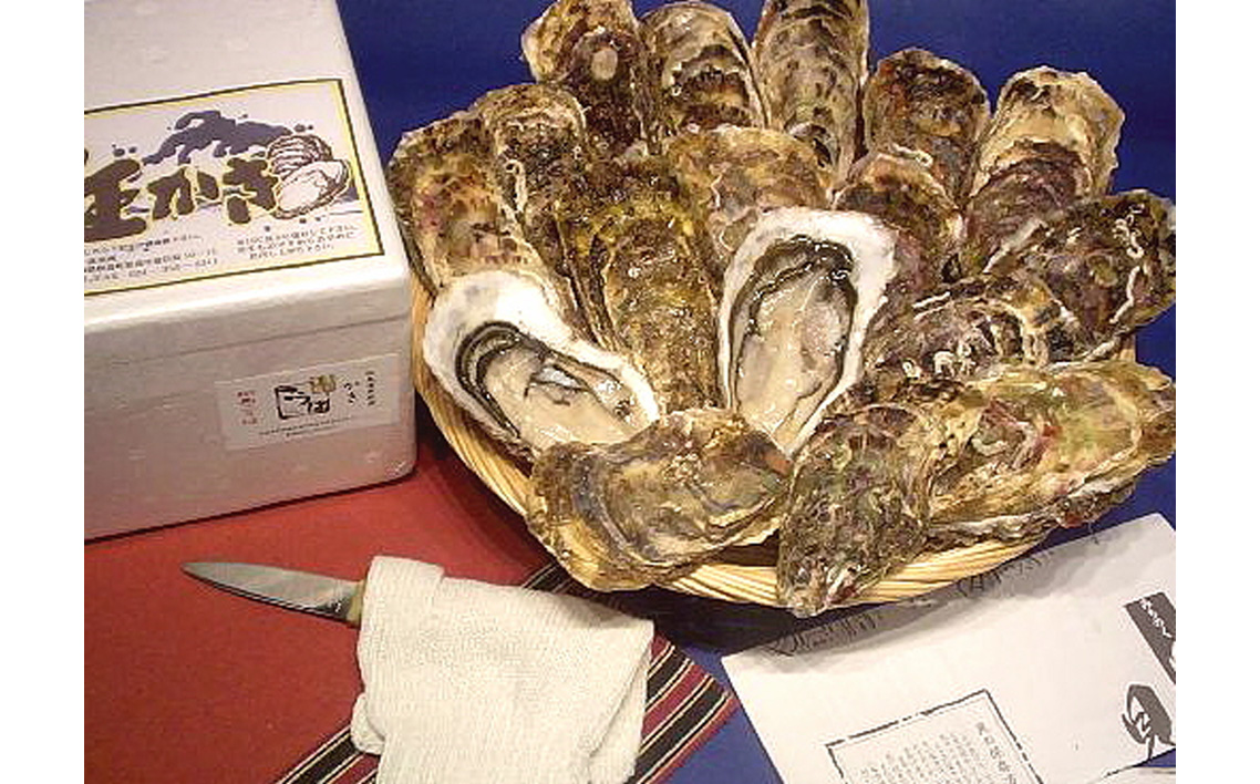 殻付き牡蠣10個＋オイスターナイフ