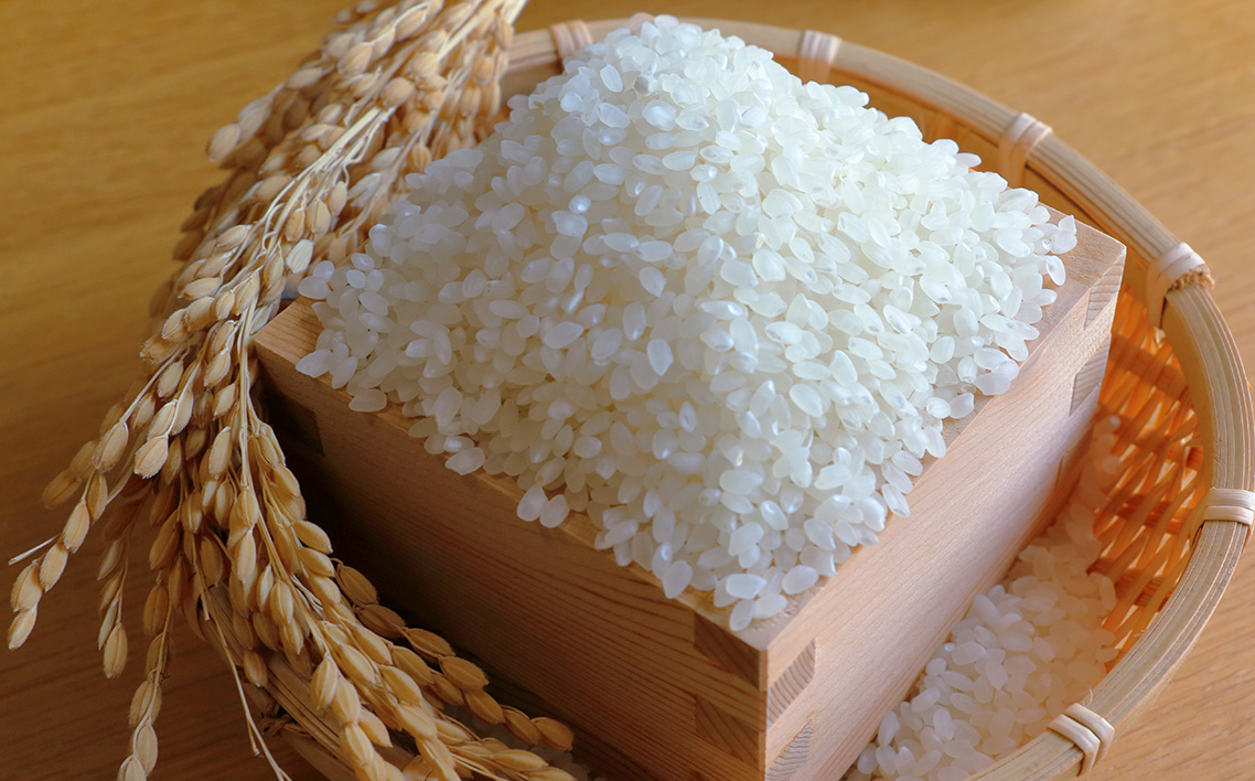 3ヶ月連続定期便【令和8年度産】松島産ササニシキ5kg×2袋