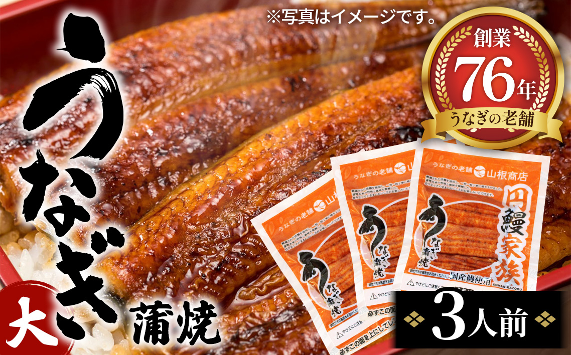 No.104 うなぎ蒲焼（大）　3人前