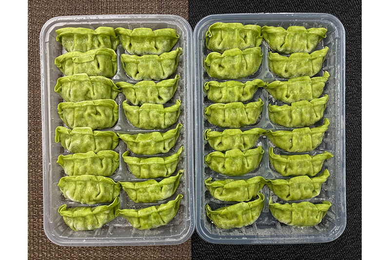 仙台あおば餃子 計32個 計576g（18g×16個×2パック）ぎょうざ 冷凍食品 国産豚肉 簡単 惣菜