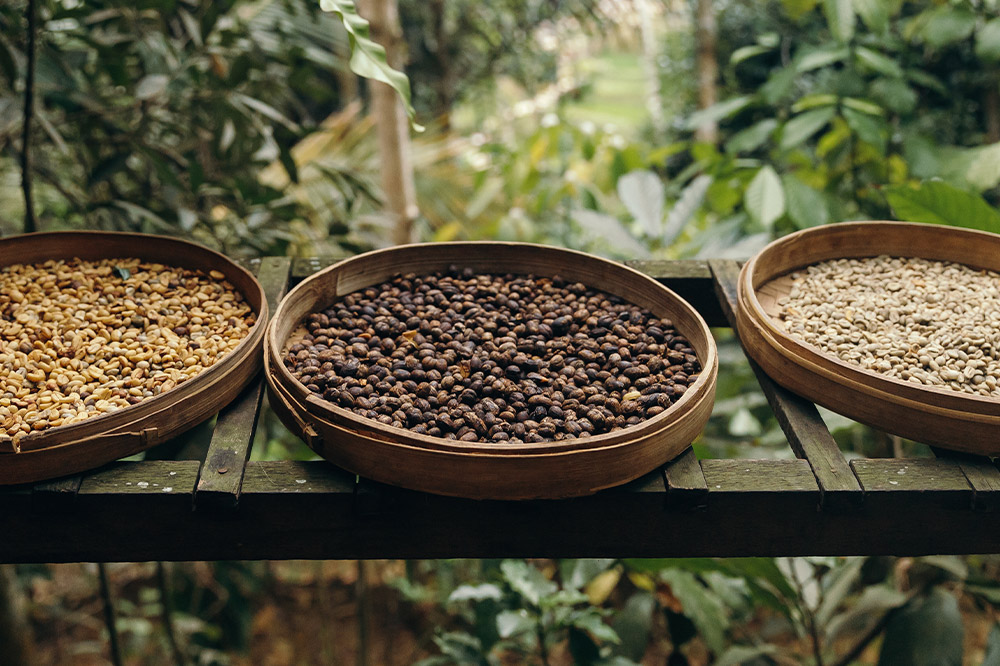 コーヒー インドネシア マンデリン 3袋（計約500g） 宮城県利府町（粉）