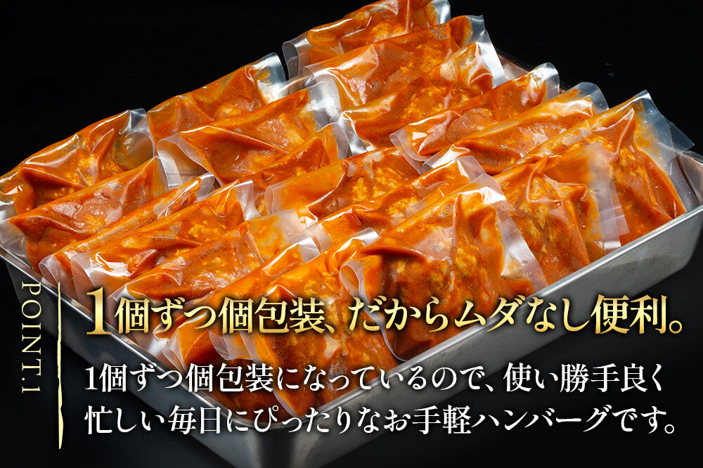 《定期便5ヶ月》ドドンと3.2kg！昔懐かしいデミグラスソースハンバーグ (160g×20個)×5回 肉 洋食 簡単 大容量 湯煎 湯せん 個包装 [大容量 肉 おかず 惣菜 個包装 簡単 湯せん レンチン 洋食 湯煎 個別包装 小分 お弁当 便利 レンジ お試し]