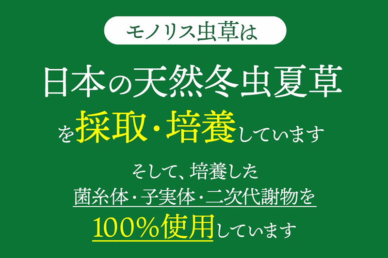 日本産冬虫夏草 モノリス虫草カプセル 120カプセル 1本 (1本30g)