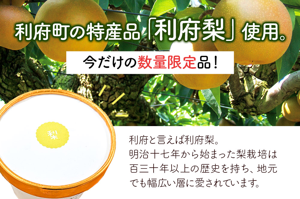 【ANA限定返礼品】利府梨ジェラート 12個セット