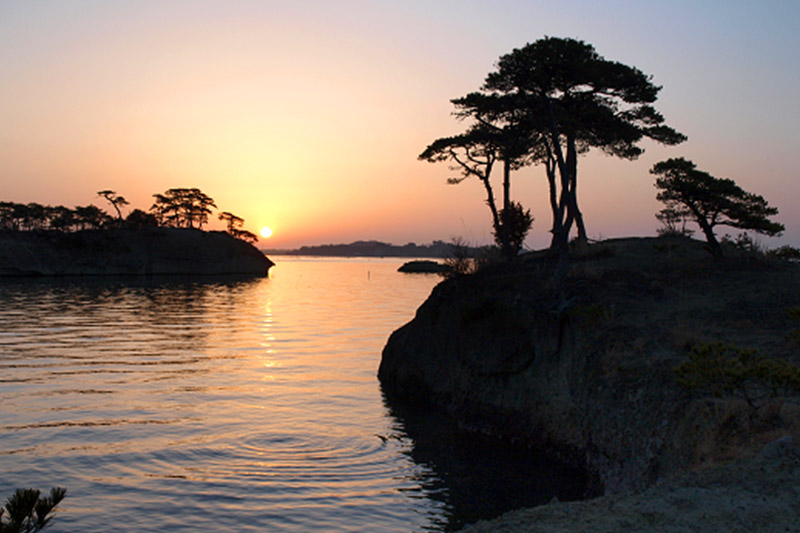 【メディアで多数紹介】ハーバーハウスかなめの『季節の表松島体験』宿泊プラン(大人1人、1泊2食付)