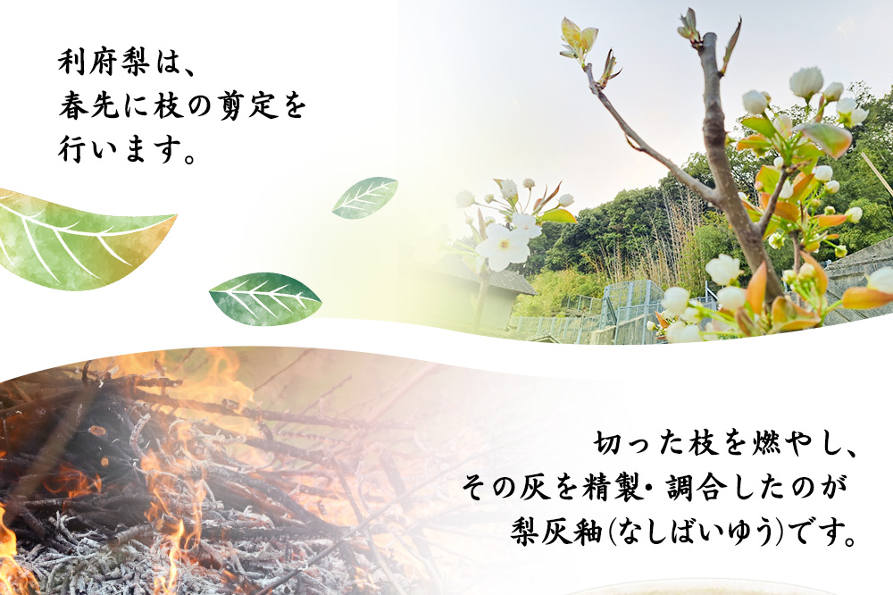 梨灰釉フリーカップ 2個組