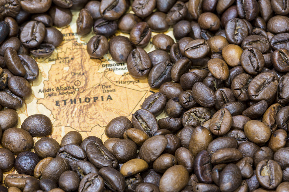 コーヒー 【スペシャルティ珈琲浅煎りセット】 2袋×2種類（計約600g） 宮城県利府町（豆）