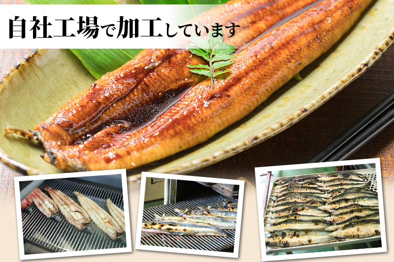 ＜訳あり＞台湾産うなぎ 蒲焼きセット（うなぎ長蒲焼 2尾 計約320g・肝煮 1パック 約30g・山椒付きタレ 4個）