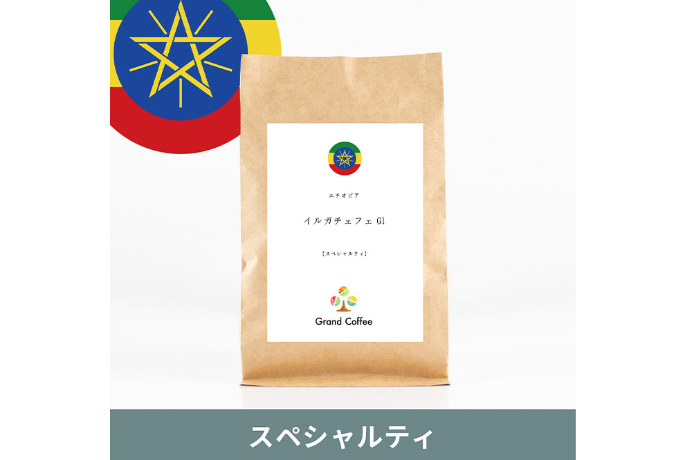 コーヒー 【スペシャルティ珈琲浅煎りセット】 2袋×2種類（計約600g） 宮城県利府町（豆）