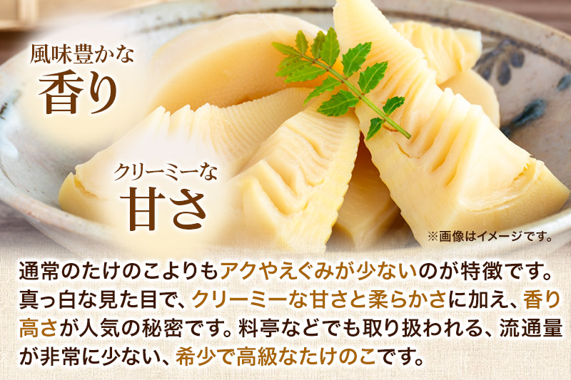 宮城県利府町産 採れたて 高級白子たけのこ 皮付き2kg以上（2～6本）筍 タケノコ 野菜 国産 新鮮 旬: 利府町ANAのふるさと納税