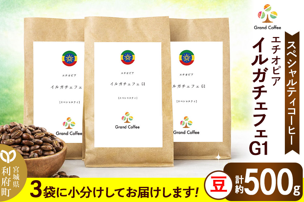 コーヒー エチオピア イルガチェフェG1 （3袋 計約500g） 宮城県利府町（豆）