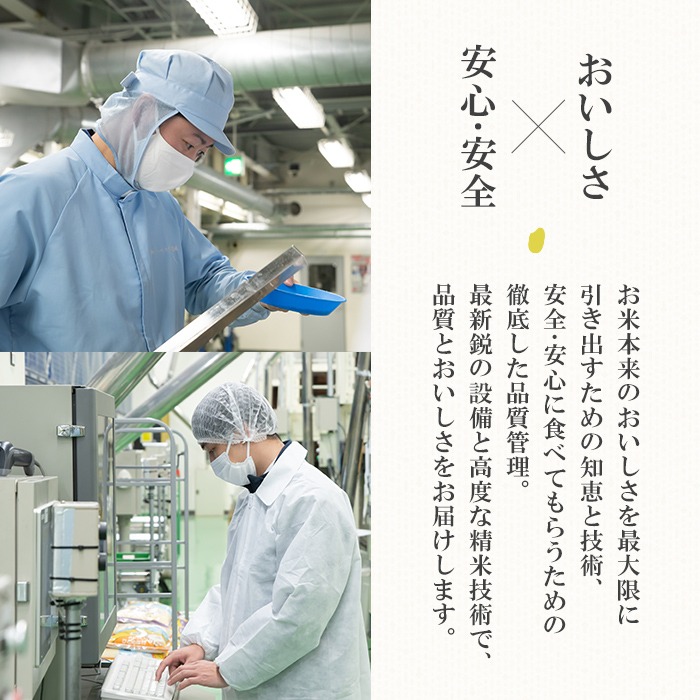 ＜先行予約！2025年10月末までに発送予定＞【令和7年産 新米】宮城県産 ササニシキ 10kg お米 おこめ 米 コメ 白米 ご飯 ごはん おにぎり お弁当 ささにしき【株式会社パールライス宮城】ta204-m10