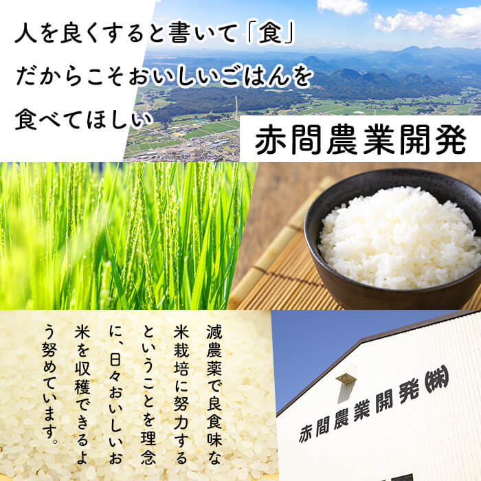 玄米 金のいぶき 自宅用 合計3,750g (750g×5袋) 小分け お米 おこめ 米 コメ 玄米 ご飯 ごはん おにぎり お弁当【赤間農業開発株式会社】ta311