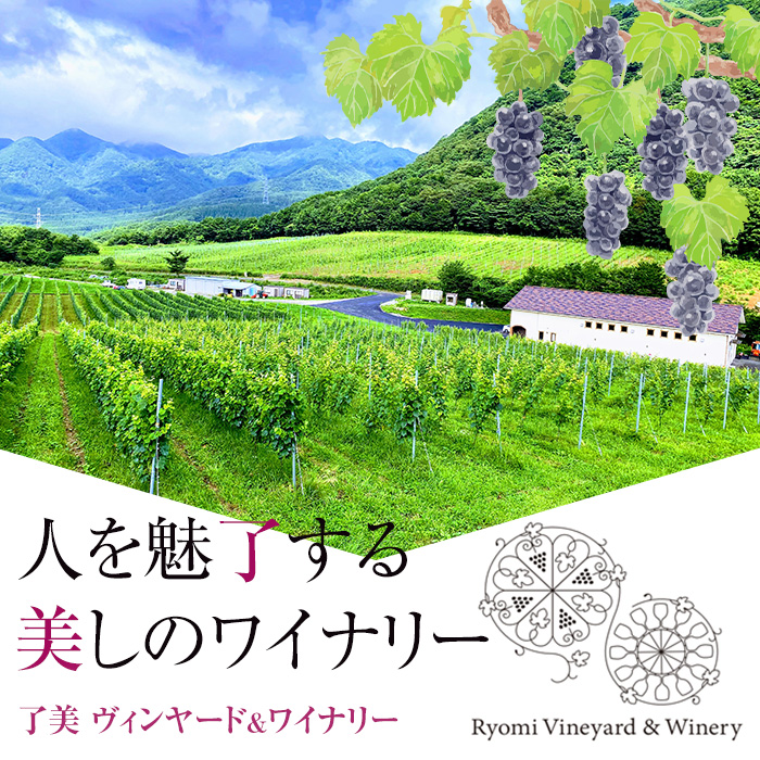 了美ワイン 2本セット 750ml×2 赤ワイン 白ワイン 飲み比べ アルコール お酒 みらいファームやまと【了美ワイナリー】ta317