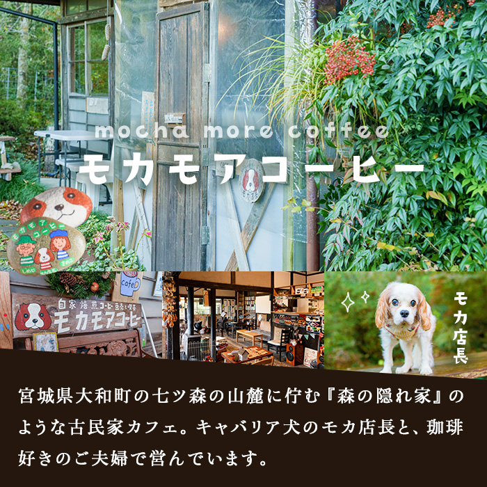 季節のブレンド(粉) 200g×2袋 計400g コーヒー 珈琲 焙煎 スペシャルティコーヒー【モカモアコーヒー】ta366-B