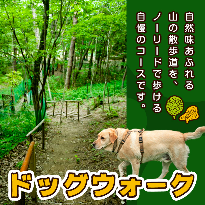 里山ドッグランサム 施設利用券 14,000円分 回数券 ドッグラン 7つのフィールド ドッグウォーク ペット 大型犬 中型犬 小型犬 自然 散歩【里山ドッグランサム】ta433