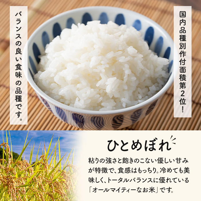 ＜令和7年産 新米＞ ひとめぼれ 10kg お米 おこめ 米 コメ 白米 ご飯 ごはん おにぎり お弁当【赤間農業開発株式会社】ta461
