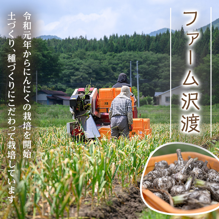 特選バラにんにく 3kg にんにく ニンニク ガーリック 六片種 ばら ホワイト おつまみ 健康 食品 料理 産地直送 宮城県 大和町 【株式会社ファーム沢渡】ta501