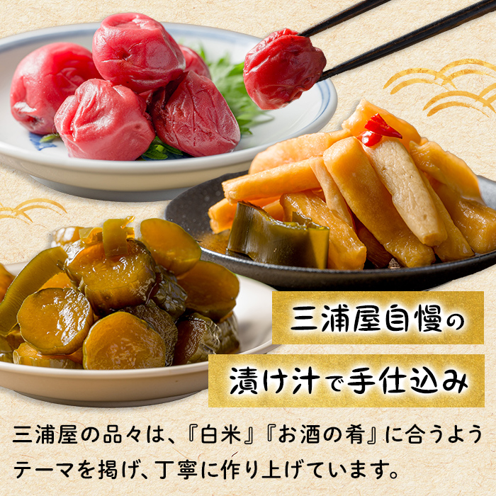 昔ながらのしょっぱい梅干し 220g×2個 うめぼし 梅 塩 赤しそ 漬物 漬け物 おかず お弁当 ご飯のお供 【三浦屋】ta527