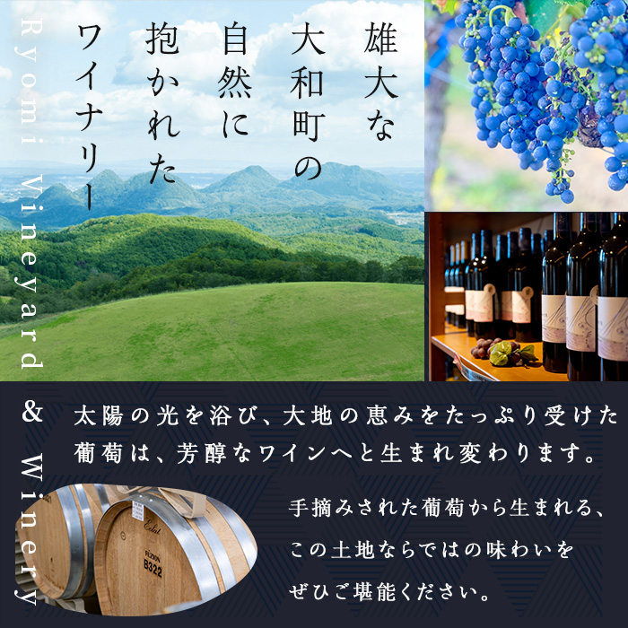 了美ワイン ゼフィール オルディネール 750ml×12本 白ワイン シャルドネ 甲州 ドライ ぶどう ブドウ アルコール 限定 宮城県産 みらいファームやまと 【了美ワイナリー】ta566