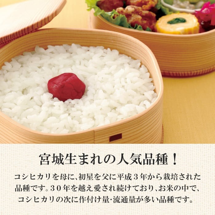 ＜3ヶ月定期便＞宮城県産 ひとめぼれ 合計15kg (5kg×3回) お米 おこめ 米 コメ 白米 ご飯 ごはん おにぎり お弁当 ブランド米 宮城米 頒布会【株式会社パールライス宮城】ta605
