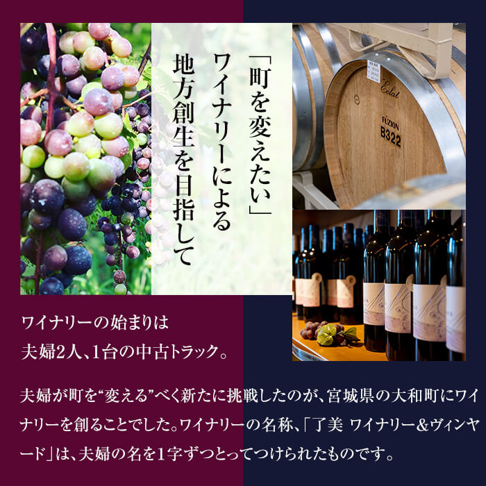 自社葡萄を使用したワイン 750ml×2本 赤ワイン 白ワイン 飲み比べ アルコール 数量限定 ギフト ワインセット 宮城県産 みらいファームやまと【了美ワイナリー】ta202