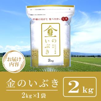 宮城県産 金のいぶき 2kg 玄米 お米 おこめ 米 コメ ご飯 ごはん おにぎり お弁当 ブランド米 宮城米【株式会社パールライス宮城】ta391