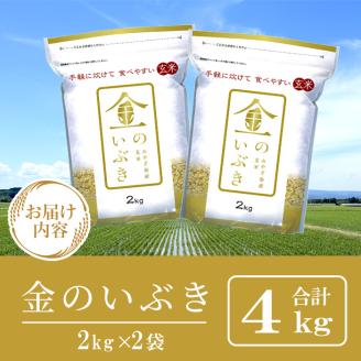 宮城県産 金のいぶき 4kg 玄米 お米 おこめ 米 コメ ご飯 ごはん おにぎり お弁当 ブランド米 宮城米【株式会社パールライス宮城】ta392