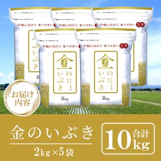 宮城県産 金のいぶき 10kg 玄米 お米 おこめ 米 コメ ご飯 ごはん おにぎり お弁当 ブランド米 宮城米【株式会社パールライス宮城】ta393