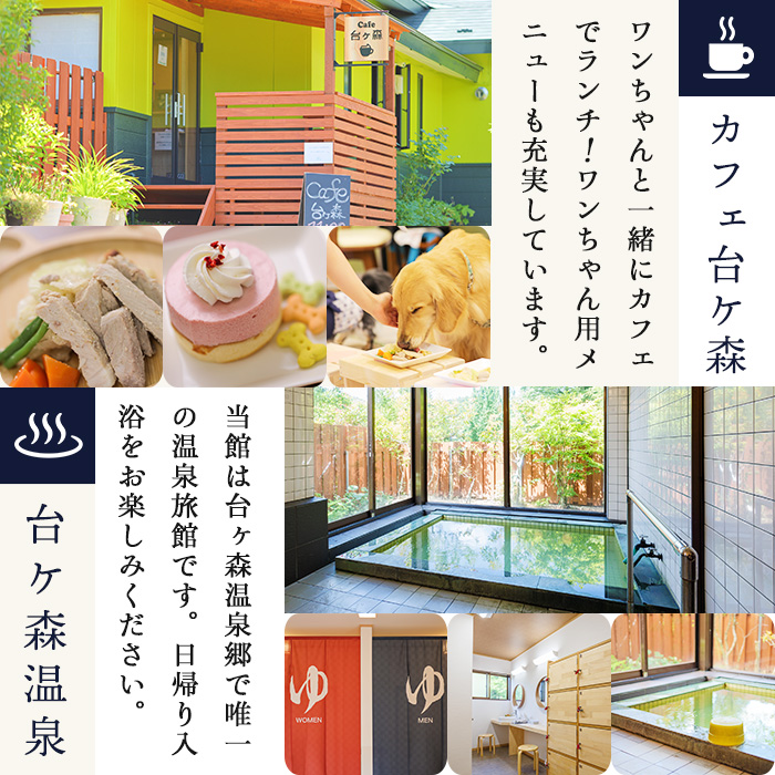 台ケ森温泉 山野川旅館 DogVillage台ケ森 施設利用券 6,000円分 ドッグラン 宿泊 日帰り温泉 温泉旅館 ペット 大型犬 中型犬 小型犬 カフェ【山野川旅館】ta197