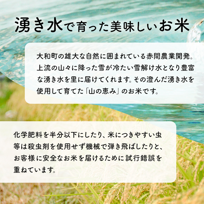 ＜6か月定期便＞ひとめぼれ 60kg お米 おこめ 米 コメ 白米 ご飯 ごはん おにぎり お弁当 宮城産 頒布会【赤間農業開発株式会社】ta301