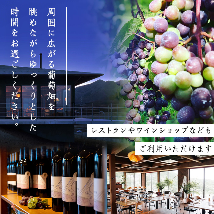 ＜平日限定一棟貸し切り＞Retreat了美七ツ森 宿泊券 (～7名様まで) 自社ワイン2本付き ワイナリー サウナ ウッドデッキ キッチン 旅行【了美ワイナリー】ta431