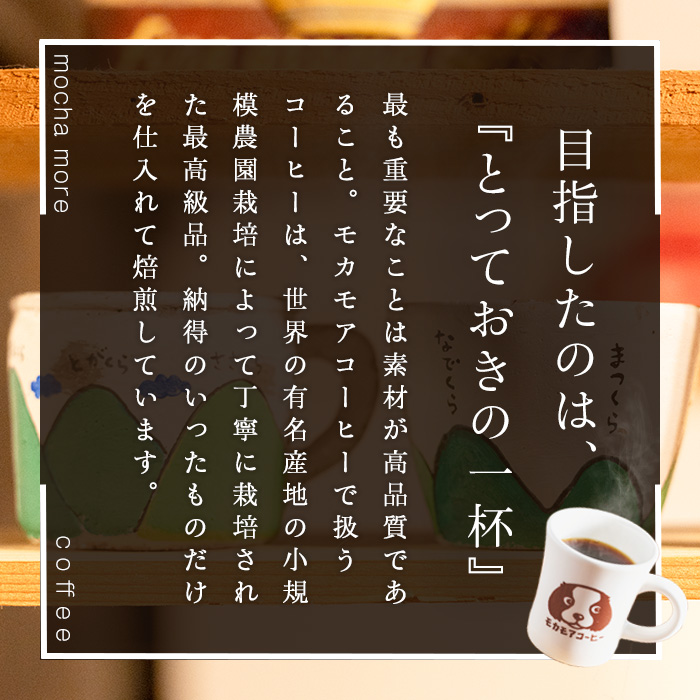 風の森ブレンド(粉) 200g×2袋 計400g 中深煎 コーヒー 珈琲 コーヒー 焙煎 スペシャルティコーヒー【モカモアコーヒー】ta510-B