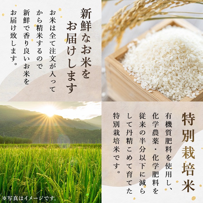 ＜令和7年産＞郷の有機米 つや姫 10kg（5kg×2袋） お米 おこめ 米 コメ 白米 ご飯 ごはん おにぎり お弁当 有機質肥料 特別栽培米 【JA新みやぎ】ta583