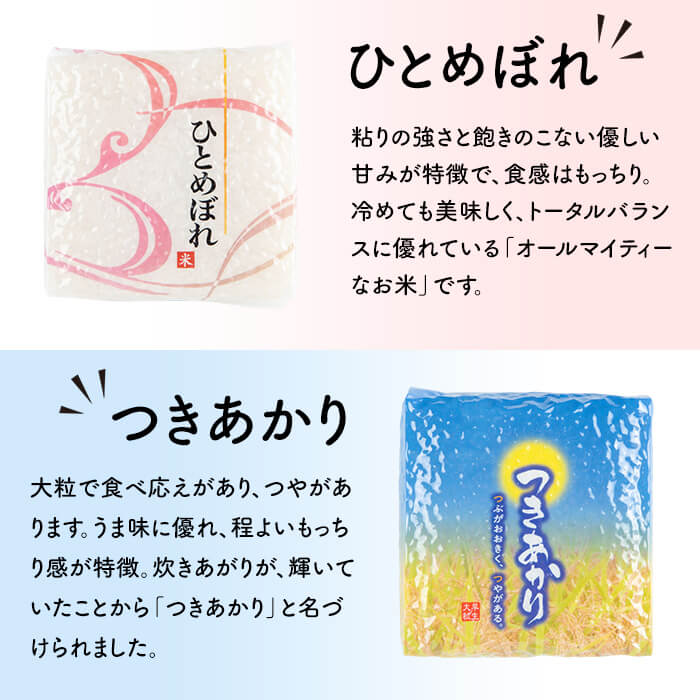 キューブ米 味比べセット 300g×12個 (ひとめぼれ、五百川、つきあかり、金のいぶき各3個) 小分け お米 おこめ 米 コメ 白米 玄米 ご飯 ごはん おにぎり お弁当 食べ比べ 使い切り ギフト【赤間農業開発株式会社】ta310