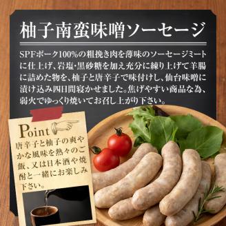 国産SPFポーク使用！熟成完全無添加ソーセージ 柚子南蛮味噌 500g (100g×5パック) 手作り 粗挽き あらびき 豚肉 肉 加工品 小分け 冷蔵 おつまみ シャルキュトリ【有限会社コブレンツ】ta372