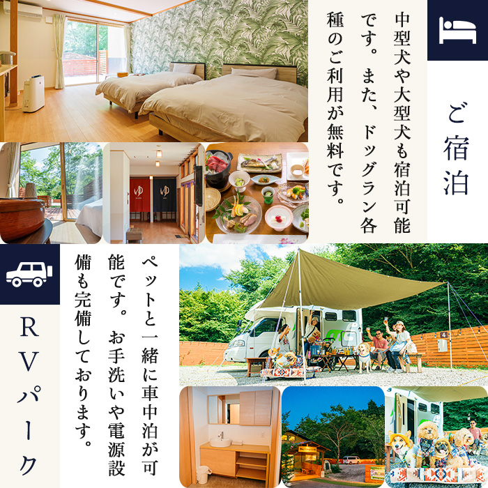 台ケ森温泉 山野川旅館 DogVillage台ケ森 施設利用券 6,000円分 ドッグラン 宿泊 日帰り温泉 温泉旅館 ペット 大型犬 中型犬 小型犬 カフェ【山野川旅館】ta197