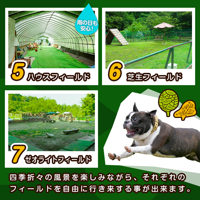 里山ドッグランサム 施設利用券 14,000円分 回数券 ドッグラン 7つのフィールド ドッグウォーク ペット 大型犬 中型犬 小型犬 自然 散歩【里山ドッグランサム】ta433