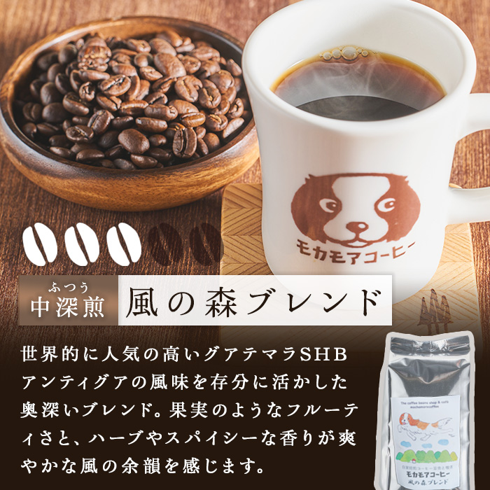 自家焙煎珈琲豆 飲み比べセット(豆) 200g×5種 計1kg 中煎り 中深煎 深煎り 季節のブレンド コーヒー 珈琲 コーヒー豆 焙煎 スペシャルティコーヒー セット【モカモアコーヒー】ta511-A