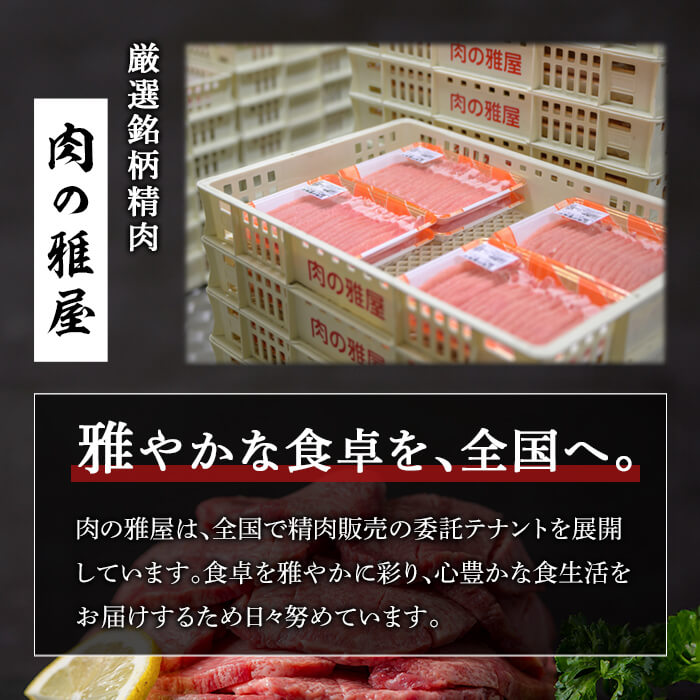 牛タン 厚切り 塩味 ＜500g＞ スリット加工 味付き 牛たん タン塩 たん塩 牛肉 肉 お肉 厚切り BBQ 焼肉 冷凍 【株式会社バリューネットワーク】ta562
