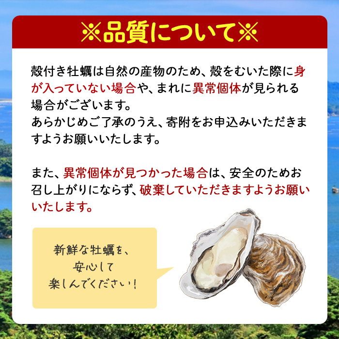 松島牡蠣屋 冷凍牡蠣（生食用） 1kg 生牡蠣 宮城県産 牡蛎 牡蠣 カキ オイスター カキフライ 牡蠣鍋 海鮮 国産 魚貝類 急速冷凍 【菊地水産合同会社】ta625